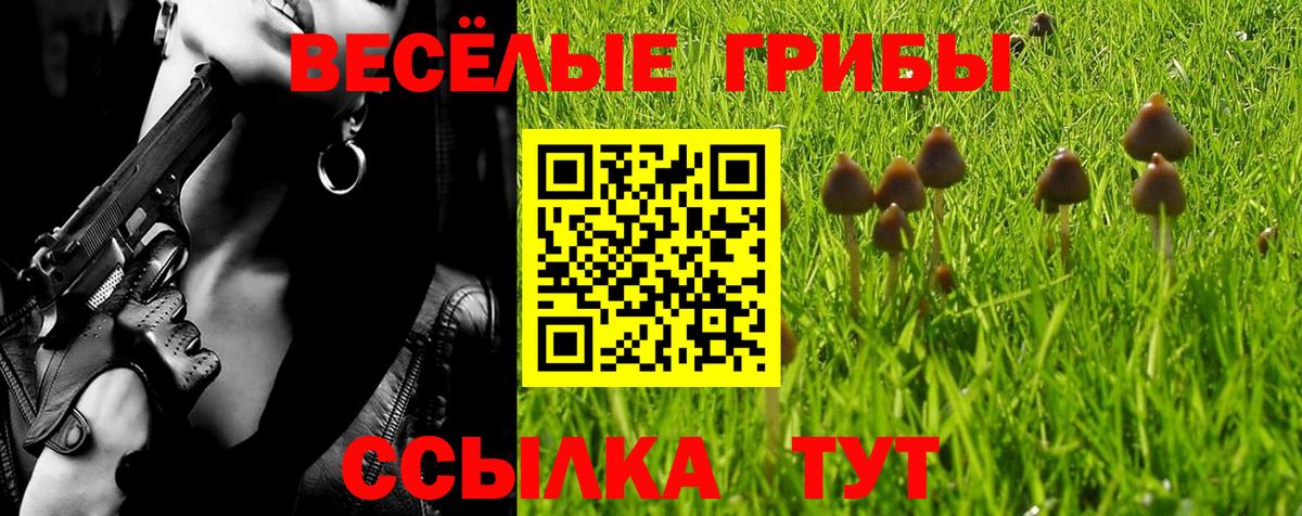 Галлюциногенные грибы MAGIC MUSHROOMS  Вход с VPN  Магнитогорск  Псилоцибиновые грибы Psilocybine cubensis 